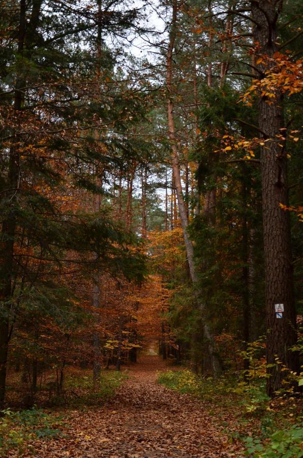 Na Roztoczu Obrocz 73c Z Sauna Zwierzyniec